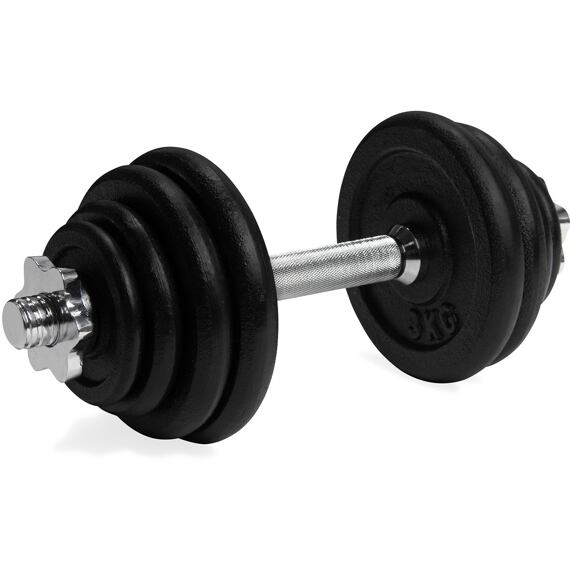 Jednoručná nakladacia činka VIRTUFIT Cast Iron 1 x 15 kg