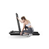 FLOW FITNESS DTM200i