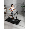 FLOW FITNESS DTM200i