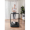 FLOW FITNESS DTM200i