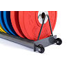 Stojan na kotúče TRINFIT Bumper Plate Rack