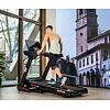 BH FITNESS RS900 TFT