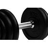 Jednoručná nakladacia činka VIRTUFIT Cast Iron 1 x 15 kg