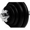Jednoručná nakladacia činka VIRTUFIT Cast Iron 1 x 15 kg