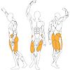Posilňovací stroj BH FITNESS PL340 HIP THRUST