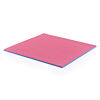 TRINFIT Tatami Karate T20 - 100 x 100 x 2 cm - červená/modrá